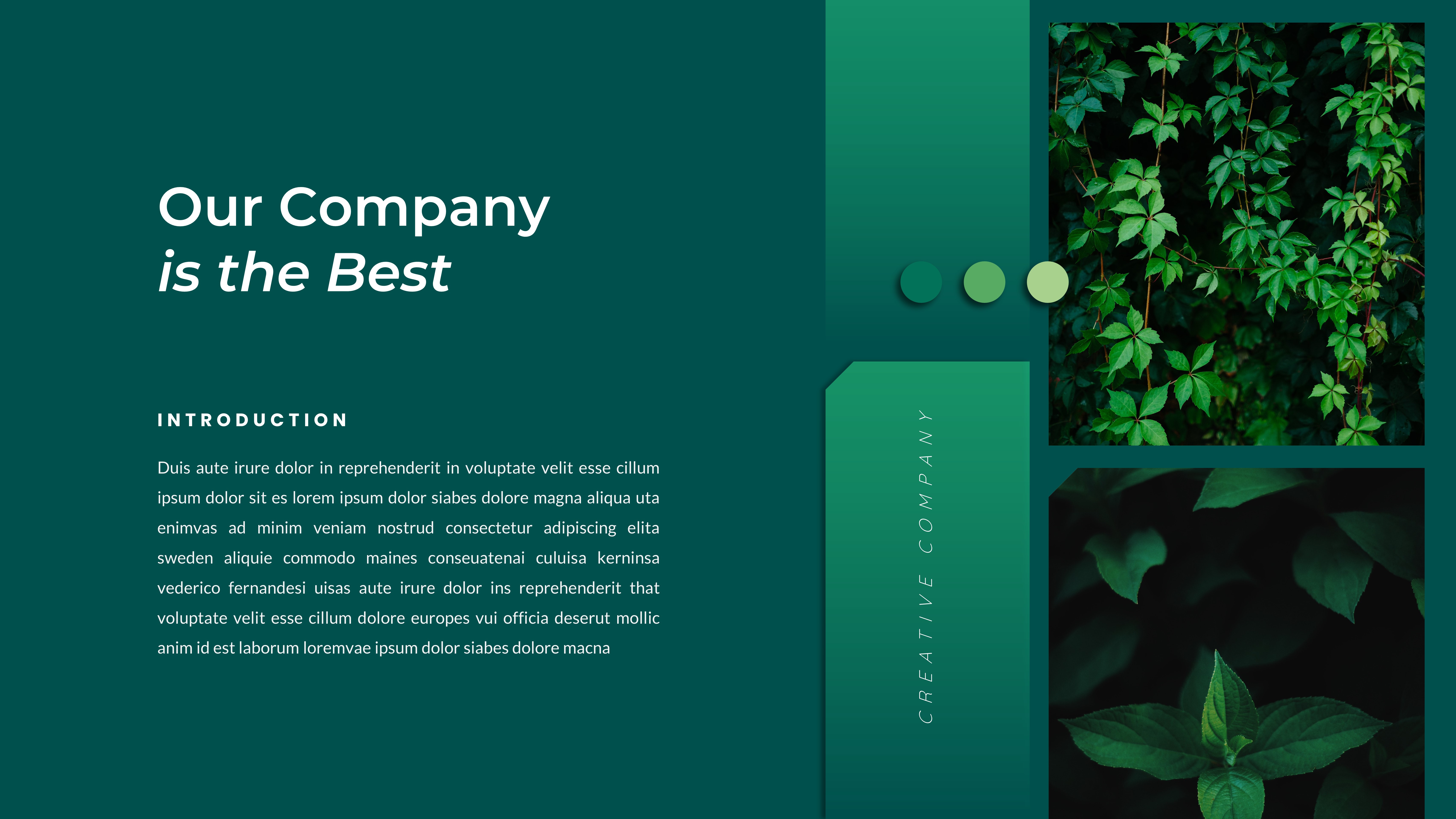 Ecco – Creative Business Keynote Template, Presentation Templates ...