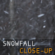Snowfall Close-Up - VideoHive Item for Sale