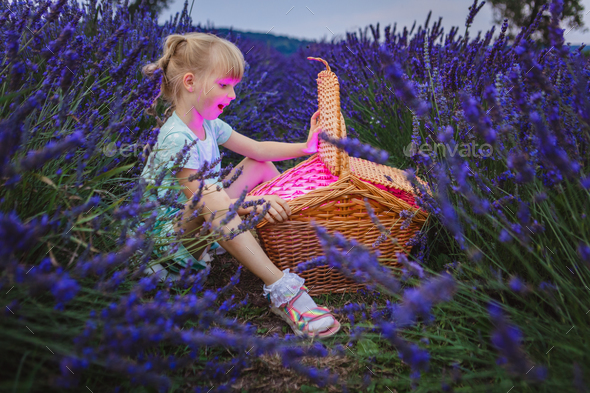 It\'s a lavender field around a magical basket, and a girl looks at it, she sees a magical world
