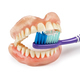 Dentures with toothbrush - PhotoDune Item for Sale