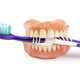 Dentures with toothbrush - PhotoDune Item for Sale