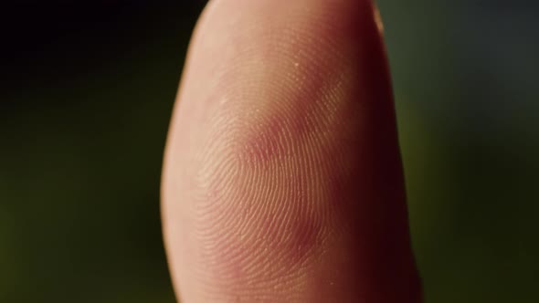 Human Fingerprint Identification Privacy Security Closeup of Man Finger alt