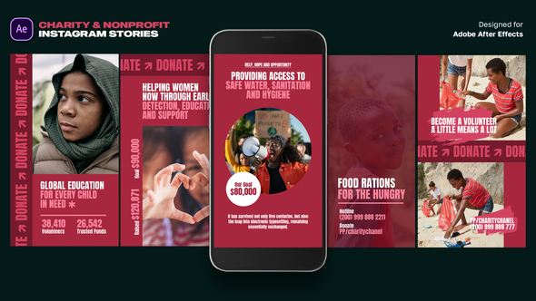 Charity & Nonprofit instagram Stories Product Promo template preview