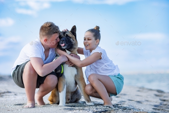 Brother and sister hug and kiss dog of the Akita Inu breed along coast along Black Sea