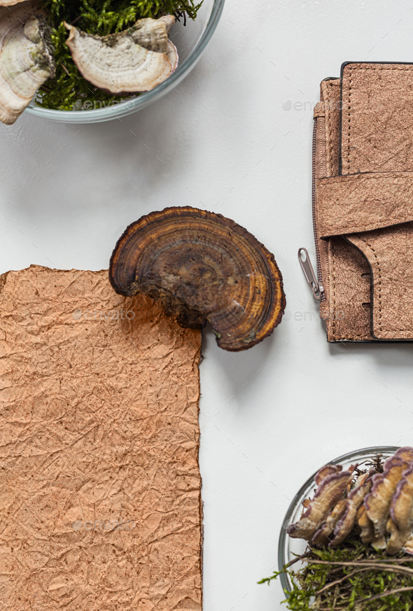 Vegan leather wallet made from mushroom mycelium, vegan bio leather samples