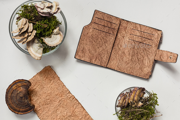 Vegan leather wallet made from mushroom mycelium, vegan bio leather samples eco friendly concept