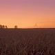 Flat Hill Meadow Timelapse at the Summer Sunrise Time - VideoHive Item for Sale