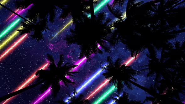Bottom View 6 Of Night Sky With Laser Rays Through Palm Trees