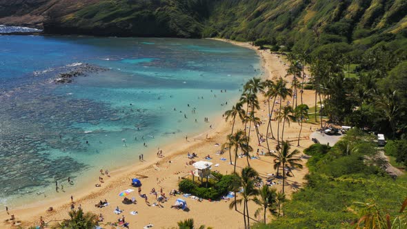 close up shot of the beach and reef at hanauma bay alt