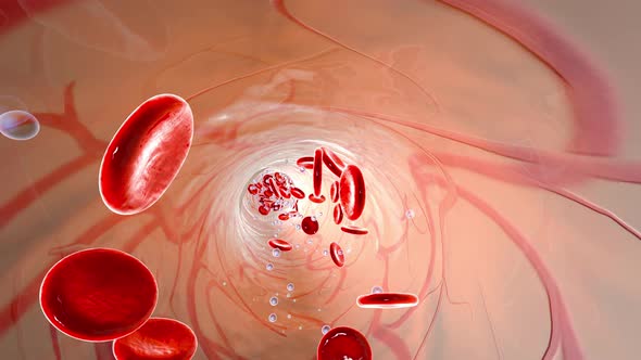 Bloodstream with flowing Erythrocytes and Oxygen