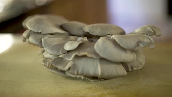 Slider rotating shot of a cluster of fresh oyster mushrooms on a thick wood cutting board. alt
