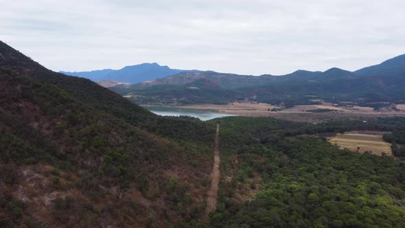 Forest of Mascota Jalisco, panorama of the vegetation alt