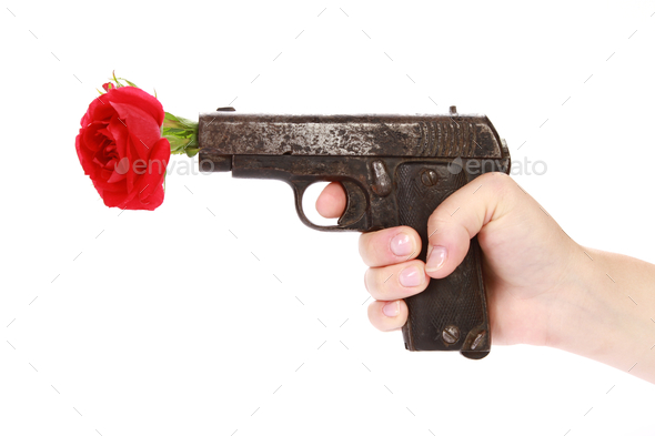 Red rose on a gun isolated on a white background