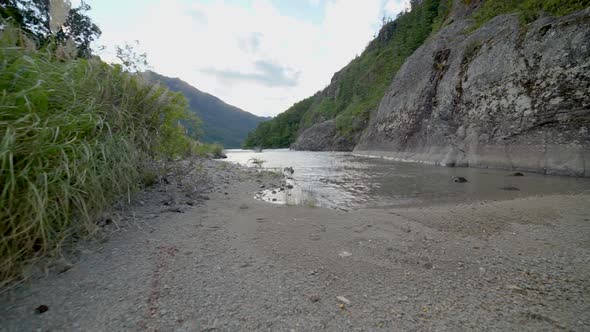 Puelo Lake shore, Chubut, Patagonia, Argentina, static wide shot alt
