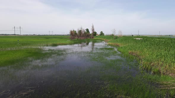 Wetland Landscape of the VolgaAkhtuba Floodplain in Russia in Summer