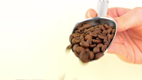 Coffee beans pouring from steel scoop on light background cafe 4K. Freshly roasted aromatic grains