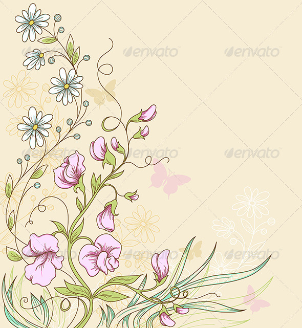 Sweet Pea - Flowers & Plants Nature