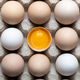 Chicken eggs in organic packaging closeup - PhotoDune Item for Sale