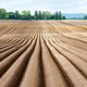 Agricultural field with even rows in the spring - PhotoDune Item for Sale
