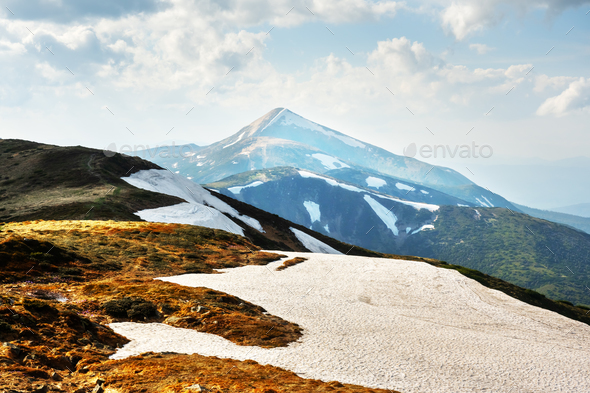 Beautiful Carpathian mountains in summer time - Stock Photo - Images