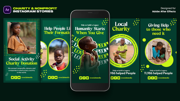 Charity & Nonprofit Instagram Stories Template Product Promo template preview