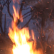 Fire Is Burning Branches - VideoHive Item for Sale