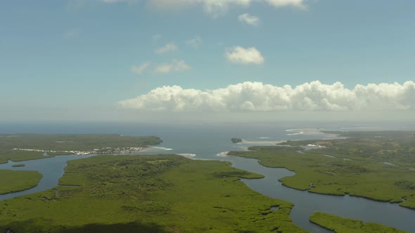 Aerial View of Mangrove Forest and River alt