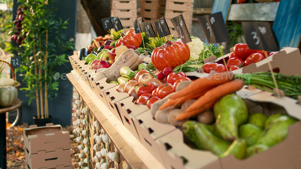 Organic food marketplace stand with colorful bio produce