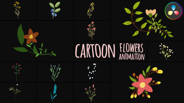 Cartoon Flowers Animations for DaVinci Resolve