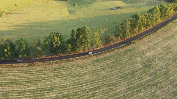 Rural landscape aerial view. Nature scenery alt