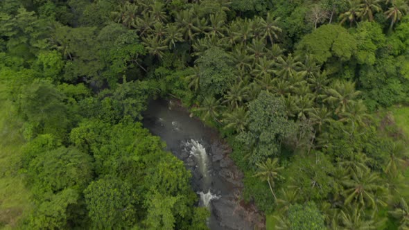Aerial Shot Following the Flow of a Jungle River Hidden By a Thick Lush Vegetation in a Tropical alt