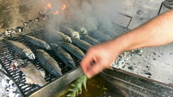 Cooking Mackerel Fish on Grill