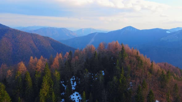 Aerial shot. Flying over the top of the hill. Forest hilly landscape in the Carpathians alt