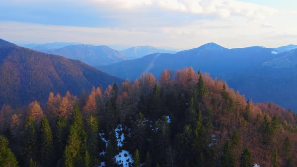 Aerial shot. Flying over the top of the hill. Forest hilly landscape in the Carpathians