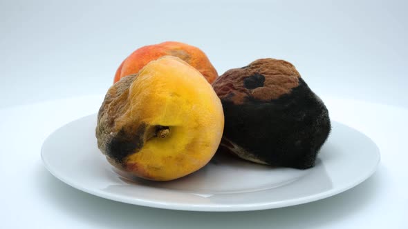 Overripe peach covered with mold. Rotten peach spoiled by time