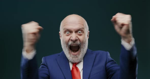 Cheerful businessman celebrating his victory, he is shouting with raised fists