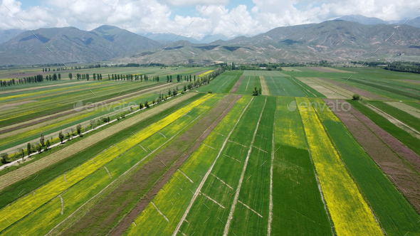 High angle aerial view of farm fields in Kyrgyzstan near the Kazakhstan border. - Stock Photo - Images