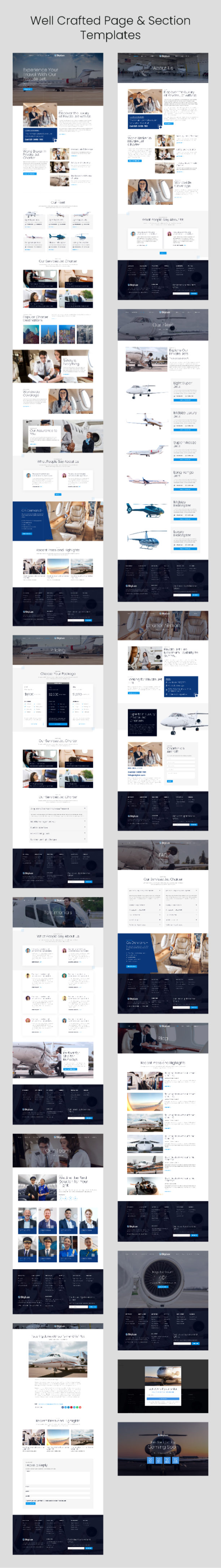 Skylux - Private Jet & Airplane Charter Company Elementor Template Kit ...
