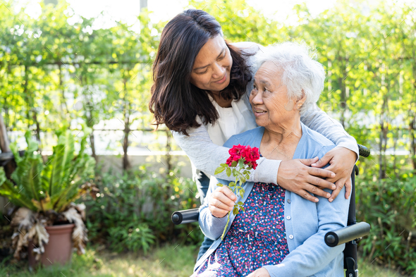 Caregiver daughter hug and help  Asian senior woman holding red rose on wheelchair in park. - Stock Photo - Images