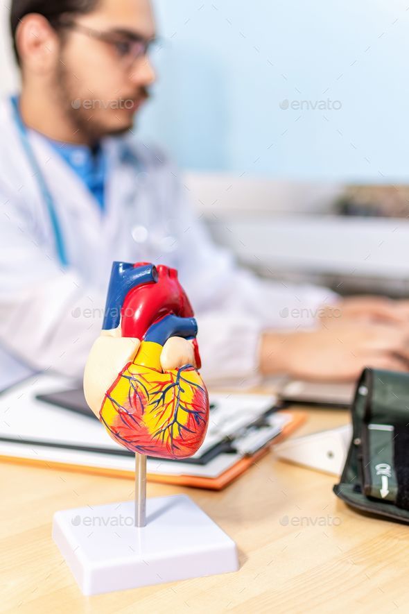 Vertical shot of an anatomical model of a human heart on a doctor\'s table in a cardiology office
