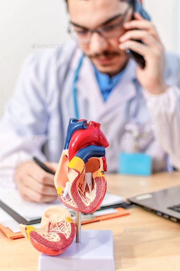 Vertical shot of an anatomical model of a human heart on a doctor\'s table in a cardiology office