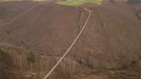 Aerial orbiting view of a long suspension bridge hanging over a leafless deciduous forest. alt