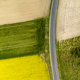 Aerial view of the rapeseed field - PhotoDune Item for Sale