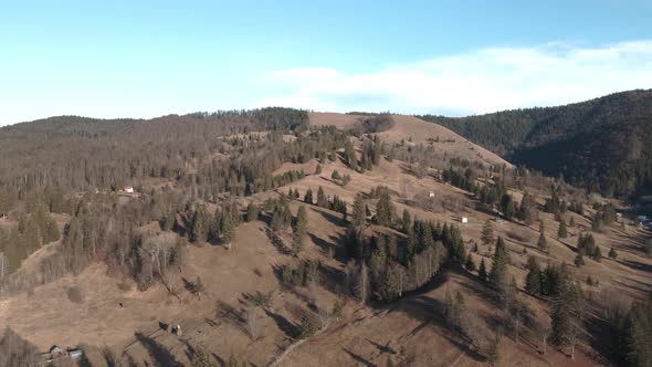 4k Drone Shot Near Hills Fir Trees Landscape