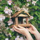 Woman hanging wooden bird feeder in spring time - PhotoDune Item for Sale