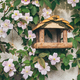 Wooden bird feeder in spring time - PhotoDune Item for Sale