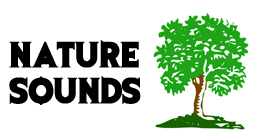 Nature sounds