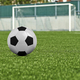 Black and white Soccer ball on grass field - PhotoDune Item for Sale