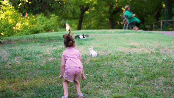 Ginevra 004Three year old girl plays in the park with bunnies.