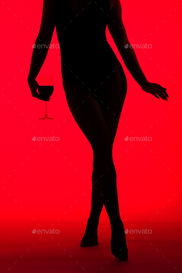 sexy woman in dress silhouette